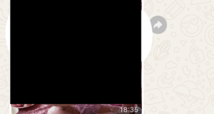 Il compleanno di Leo