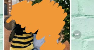 Il costume da ape