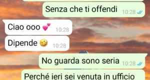 La mia sosia