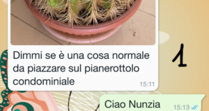 La pianta