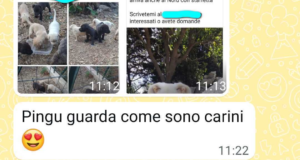 Sconviviamo