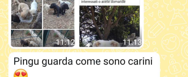Sconviviamo