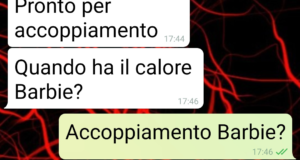 La cucciola di cane