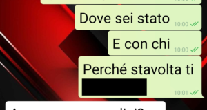 Ritorno dalla conferenza