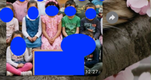 Bambino o bambina?