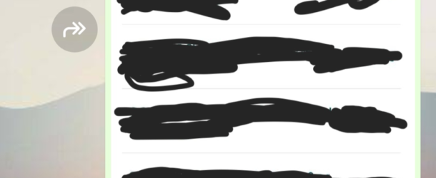 Le spese di mio figlio