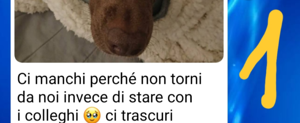 Torna a casa