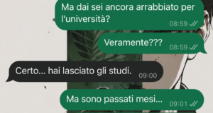 Il debito