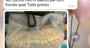 Il riso in bianco