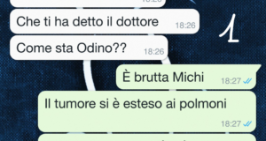 Odino