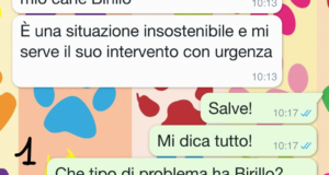 Un cane ben educato