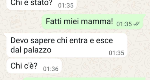 Rovinata da mamma