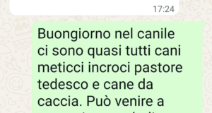 Cani celiaci