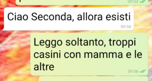 La finta fidanzata di mio fratello